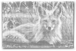  PontPöttyöző - Róka Méret: 40x60cm, Keretezés: Kartonlemezen, Szín: Kék