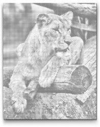  PontPöttyöző - Oroszlán Méret: 30x40cm, Keretezés: Keret nélkül (csak a vászon), Szín: Fekete