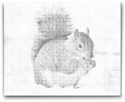  PontPöttyöző - Mókus mogyoróval Méret: 40x50cm, Keretezés: Kartonlemezen, Szín: Zöld