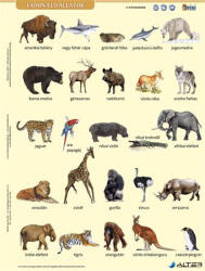 STIEFEL Tanulói munkalap, A4, STIEFEL' Vadon élő állatok (27588)