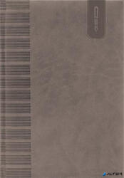 DAYLINER Tárgyalási napló, B5, DAYLINER, 'Tucson', szürke (DLDTN-TUFB5TN-SZ)