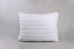 Naturtex Aloe Vera nagypárna, 70x90 cm (103030678)