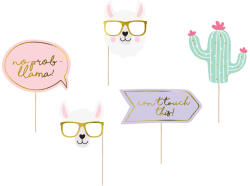  Kaktusz-láma foto modul