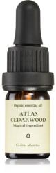Smells Like Spells Essential Oil Atlas Cedarwood esszenciális olaj 5 ml