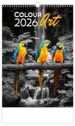 Dayliner Naptár, fali, DAYLINER Colour Art (NFACAU) - iroda24