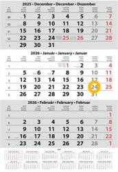 Dayliner Naptár, speditőr, három hónapos, egy tömbös, üres fejrész, DAYLINER (NSPED1FU10U) - iroda24