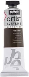 Pébéo Artist Akril festék Raw Umber 37 ml 1 db (906-109)