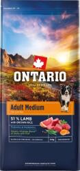 ONTARIO Adult Medium Lamb & Brown Rice 2 x 12 kg