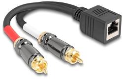 Delock RJ45 adapter kábel apa - 2 x RCA apa fekete, 20 cm (88172)