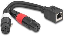Delock Adapter RJ45 kábel anya - 2 x XLR 3 tűs anya fekete színű 20 cm (88178)