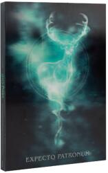 Grupo Erik 3D notesz (A5), Harry Potter (CLA503)