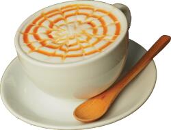 Warrior WPC80 minta Caramel Coffee 30g