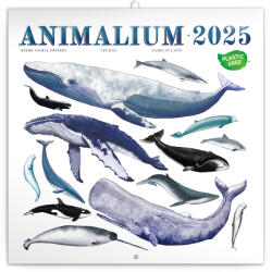 Realsystem Falinaptár képes lemeznaptár 300x300mm, Antique Maps Realsystem 2026 (6097-AN) - veryjet