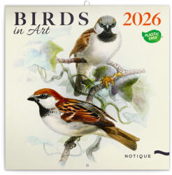 Realsystem Falinaptár képes lemeznaptár 300x300mm, Birds in Art Realsystem 2026 (36694) - irodaszerpiac