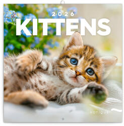 Realsystem Falinaptár képes lemeznaptár 300x300mm, Kittens Realsystem 2026 (6097-KI) - officefirst