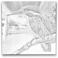  PontPöttyöző - Jégmadár zsákmánnyal Méret: 50x50cm, Keretezés: Keret nélkül (csak a vászon), Szín: Zöld