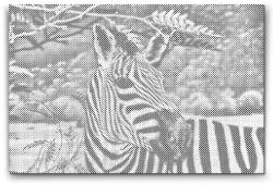 PontPöttyöző - Vad zebra Méret: 40x60cm, Keretezés: Műanyagtáblával, Szín: Piros