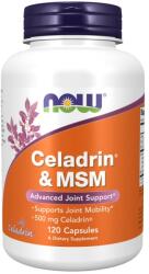 NOW NOW Celadrin & MSM 500mg, 120 Capsules