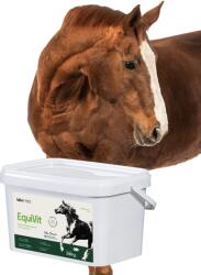 LAB-V EquiVit - hrană dietetică pentru cai, susține imunitatea și articulațiile, 2 kg