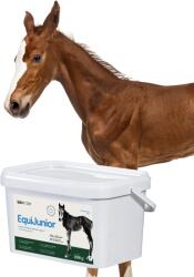 LAB-V EquiJunior - Amestec alimentar complementar pentru mânji, care susține creșterea, dezvoltarea și nutriția adecvată a cailor și poneilor tineri, 2 kg