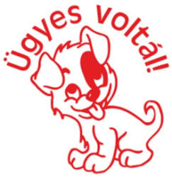 COLOP Bélyegző, motivációs, Ügyes voltál! , 'N43-kék', piros (IC18034302) (IC18034302)