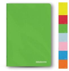 COLORARTE Caiet A5 48 file 70 g/mp coperta plastic, COLORARTE (C42XX)