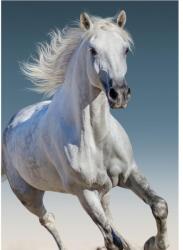  Lovas White polár takaró 100x140cm (BRM008892)