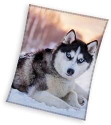  Kutyás Husky coral fleece polár takaró 150x200cm (CBX231093KNL) - sandori
