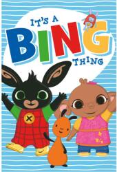  Bing Thing polár takaró 100x150cm (EXK350199) - sandori