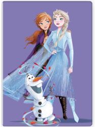  Disney Jégvarázs Purple polár takaró 100x140cm (BRM014183) - sandori