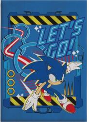  Sonic a sündisznó Let's Go coral fleece takaró 110x150cm (AYM074154) - sandori