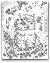 PontPöttyöző - Színes bagoly Méret: 30x40cm, Keretezés: Műanyagtáblával, Szín: Kék