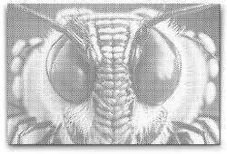  PontPöttyöző - Darázs Méret: 40x60cm, Keretezés: Műanyagtáblával, Szín: Piros