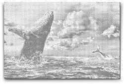  PontPöttyöző - Bálnák hajnalhasadtán Méret: 40x60cm, Keretezés: Műanyagtáblával, Szín: Piros