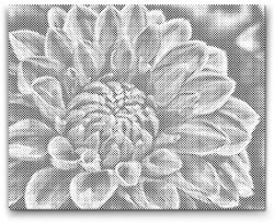  PontPöttyöző - Vörös dália Méret: 40x50cm, Keretezés: Műanyagtáblával, Szín: Fekete