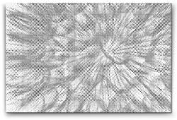  PontPöttyöző - Pitypang Méret: 40x60cm, Keretezés: Kartonlemezen, Szín: Piros