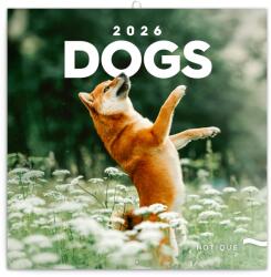 Realsystem Falinaptár képes 300x300mm, (Dogs) Realsystem 2026 (6097-DO)