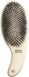 Olivia Garden Expert Care Curve - Perie Profesională cu Peri Naturali de Mistreț și Nylon, Design Ergonomic Curbat, Aurie (OG2088)