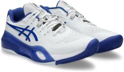 Asics Férfi teniszcipő salakra Asics GEL-RESOLUTION X CLAY 1041A485-101 - EUR 44, 5 | UK 9, 5 | US 10, 5