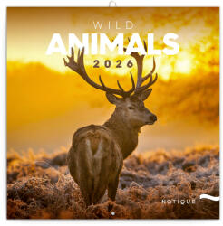 Realsystem Falinaptár képes lemeznaptár 300x300mm, Wild Animals Realsystem 2026 (6097-WA) - iroszer24