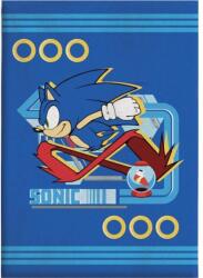  Sonic a sündisznó Ring polár takaró 100x140cm (AYM071672) - sandori