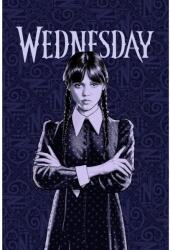  Wednesday Color polár takaró 100x150cm (JFK038260) - sandori