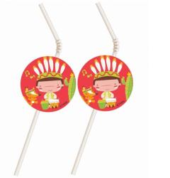  Indian Party, Indián műanyag szívószál 6 db-os (MLG104646)