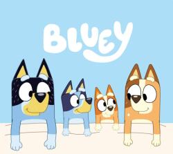  Bluey Cozy kéztörlő, arctörlő, törölköző 30x30cm (JFK106342) - sandori