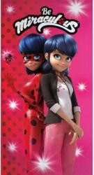  Katicabogár és Fekete macska kalandjai Secret Identity fürdőlepedő, strand törölköző 70x140cm (Fast Dry) (AYM189451) - sandori