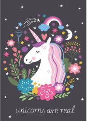  Unikornis Are Real polár takaró 100x140cm (BRM007048) - sandori