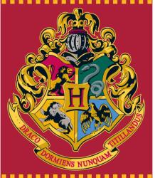  Harry Potter Red coral fleece, polár takaró 120x150cm (EMM5248128) - sandori