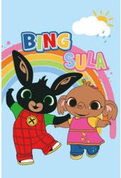  Bing Sula polár takaró 100x150cm (JFK036785) - sandori