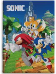  Sonic a sündisznó Speedy Dreams polár takaró 100x140cm (BRM013995) - sandori