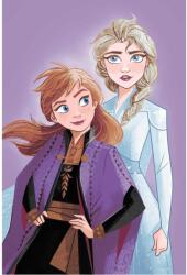  Disney Jégvarázs Purple mikroflanel takaró 100x150cm (JFK037881) - sandori